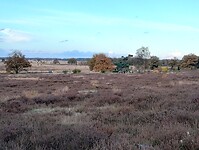 IMG_20251102_161403044_HDR