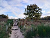 IMG_20251102_161322041_HDR