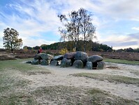 IMG_20251102_160949657_HDR