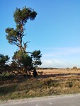 IMG_20251102_155410575
