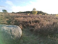 IMG_20251102_155210070