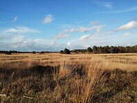 IMG_20251102_150617891