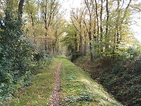 IMG_20251102_124308235