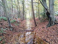IMG_20251102_123103760