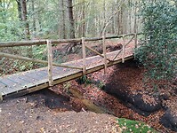 IMG_20251102_122819380