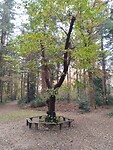 IMG_20251102_122501922