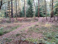 IMG_20251102_122346626