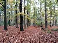 IMG_20251102_122053296