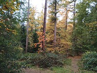 IMG_20251102_121825902