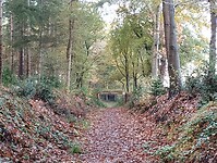 IMG_20251102_113250512