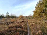 IMG_20251102_100955103_HDR