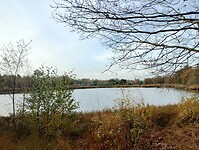 IMG_20251102_100300856_HDR