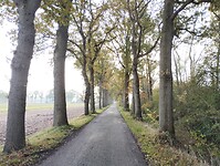 IMG_20251102_093702281