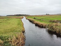 IMG_20251103_134033564
