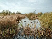 IMG_20251103_125555084_HDR