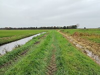 IMG_20251103_121512809