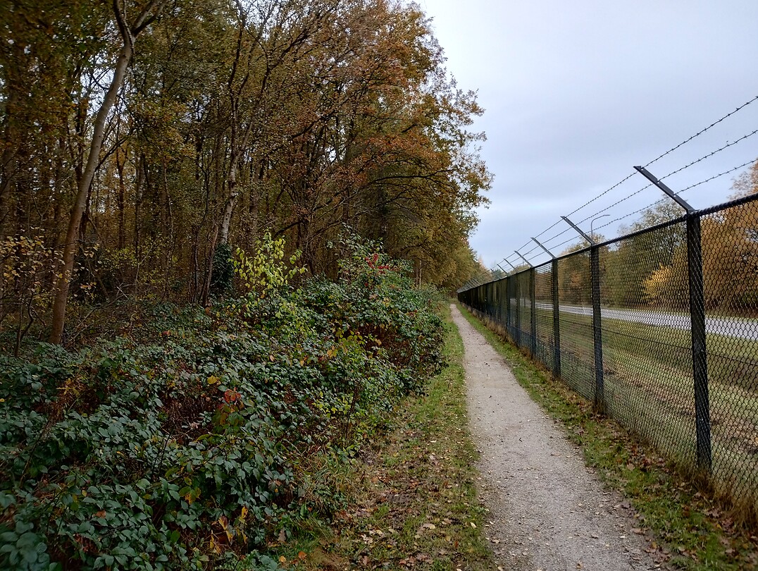 IMG_20251103_095152761_HDR