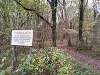 IMG_20251103_094503946