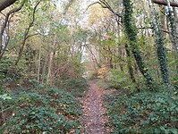 IMG_20251103_093055658
