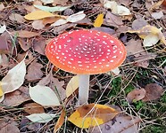 IMG_20251102_144955706~2