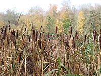 IMG_20251108_124547739