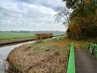 IMG_20251108_121350829_HDR