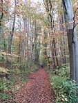 IMG_20251108_110222945