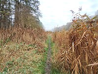 IMG_20251108_104251256