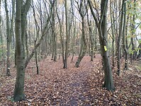 IMG_20251108_101108898