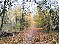 IMG_20251108_100741586