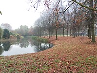 IMG_20251108_095302168