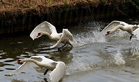 IMG-20251109-WA0002