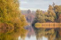 IMG-20251109-WA0001