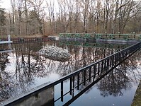 IMG_20251122_162900025