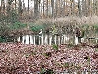 IMG_20251122_161302491