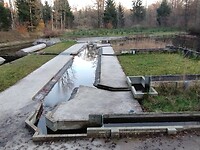 IMG_20251122_160746922