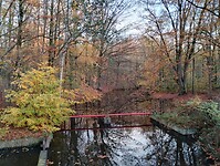 IMG_20251122_160103777_HDR