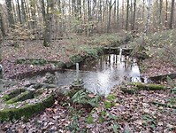 IMG_20251122_155414793
