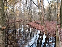 IMG_20251122_154331107