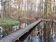 IMG_20251122_154107412