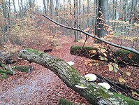 IMG_20251122_153954643