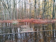 IMG_20251122_152848136