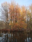 IMG_20251122_152536776