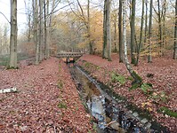 IMG_20251122_152133053