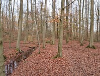 IMG_20251122_145511615