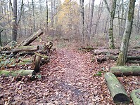IMG_20251122_132209606