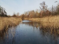 IMG_20251122_130054508