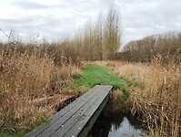 IMG_20251122_115301769