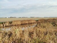 IMG_20251122_112254411