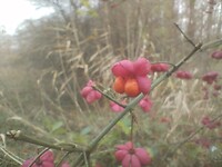 IMG_20251122_110408527